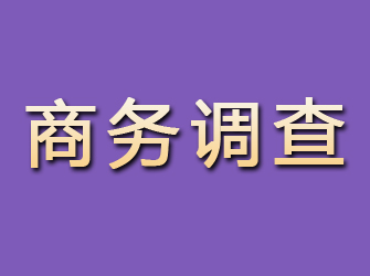 怀宁商务调查